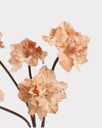 Clivia Gladiolus Faux Flower in Light Caramel - 28"
