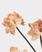 Clivia Gladiolus Faux Flower in Light Caramel - 28"
