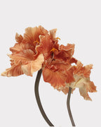 Clivia Gladiolus Faux Flower in Orange - 28