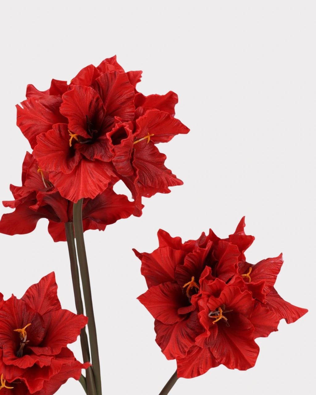 Clivia Gladiolus Faux Flower in Red - 28"