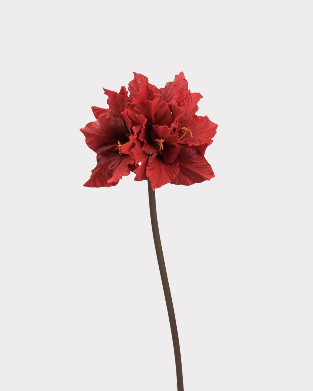 Clivia Gladiolus Faux Flower in Red - 28"