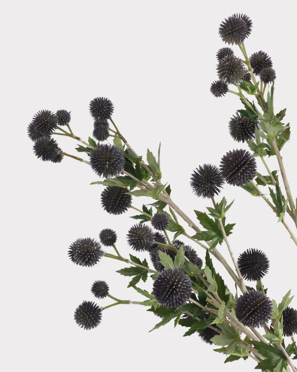 Coneflower Seed Pod Faux Stem in Black - 26"