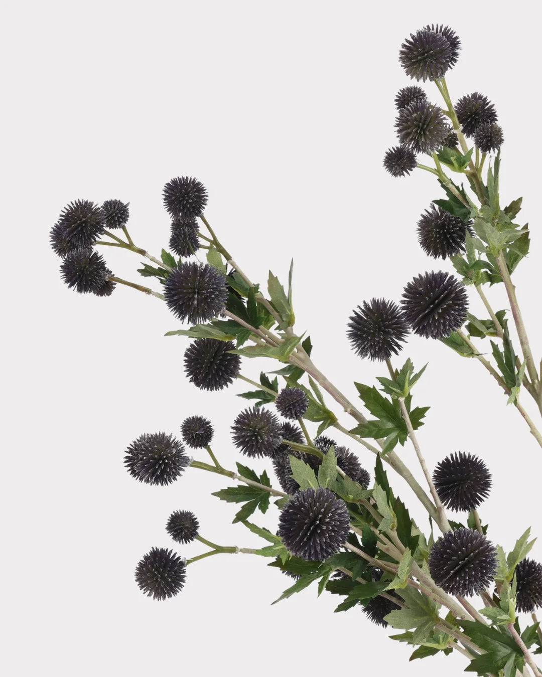 Coneflower Seed Pod Faux Stem in Black - 26"