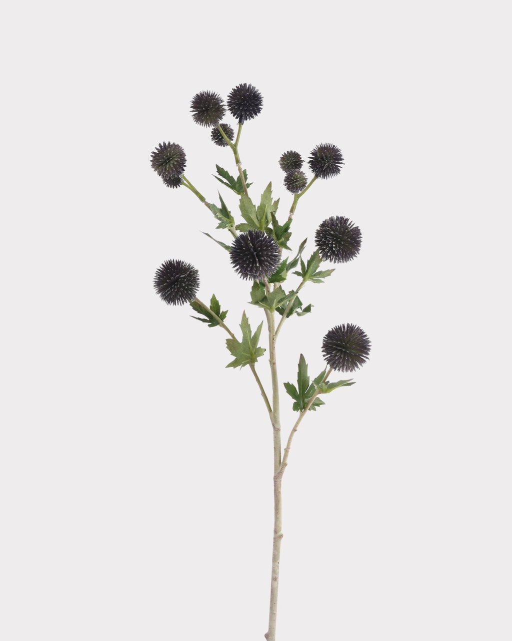 Coneflower Seed Pod Faux Stem in Black - 26"