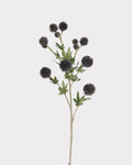Coneflower Seed Pod Faux Stem in Black - 26"