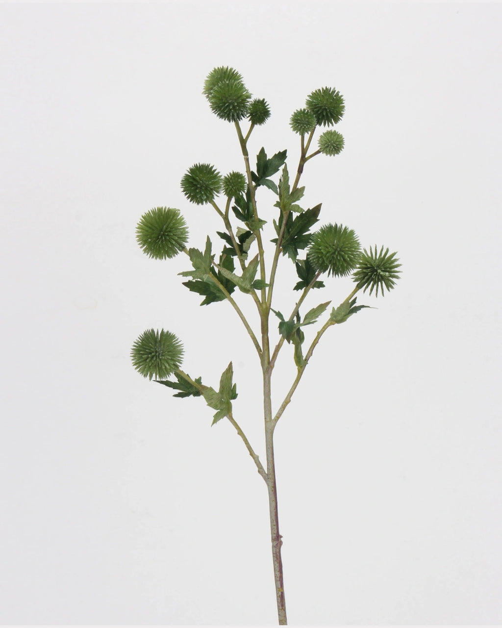 Coneflower Seed Pod Faux Stem in Green - 26"