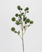 Coneflower Seed Pod Faux Stem in Green - 26"