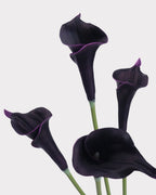 Curled Calla Lily Faux Flower in Deep Purple - 21
