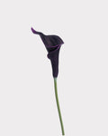 Curled Calla Lily Faux Flower in Deep Purple - 21