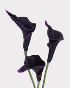 Curled Calla Lily Faux Flower in Deep Purple - 21