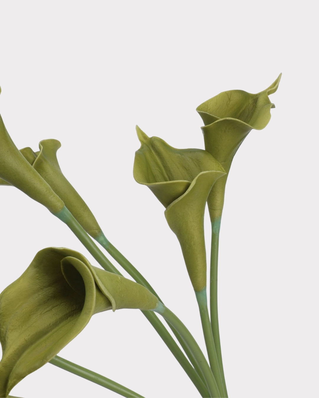 Curled Calla Lily Faux Flower in Green - 21"