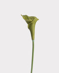 Curled Calla Lily Faux Flower in Green - 21"