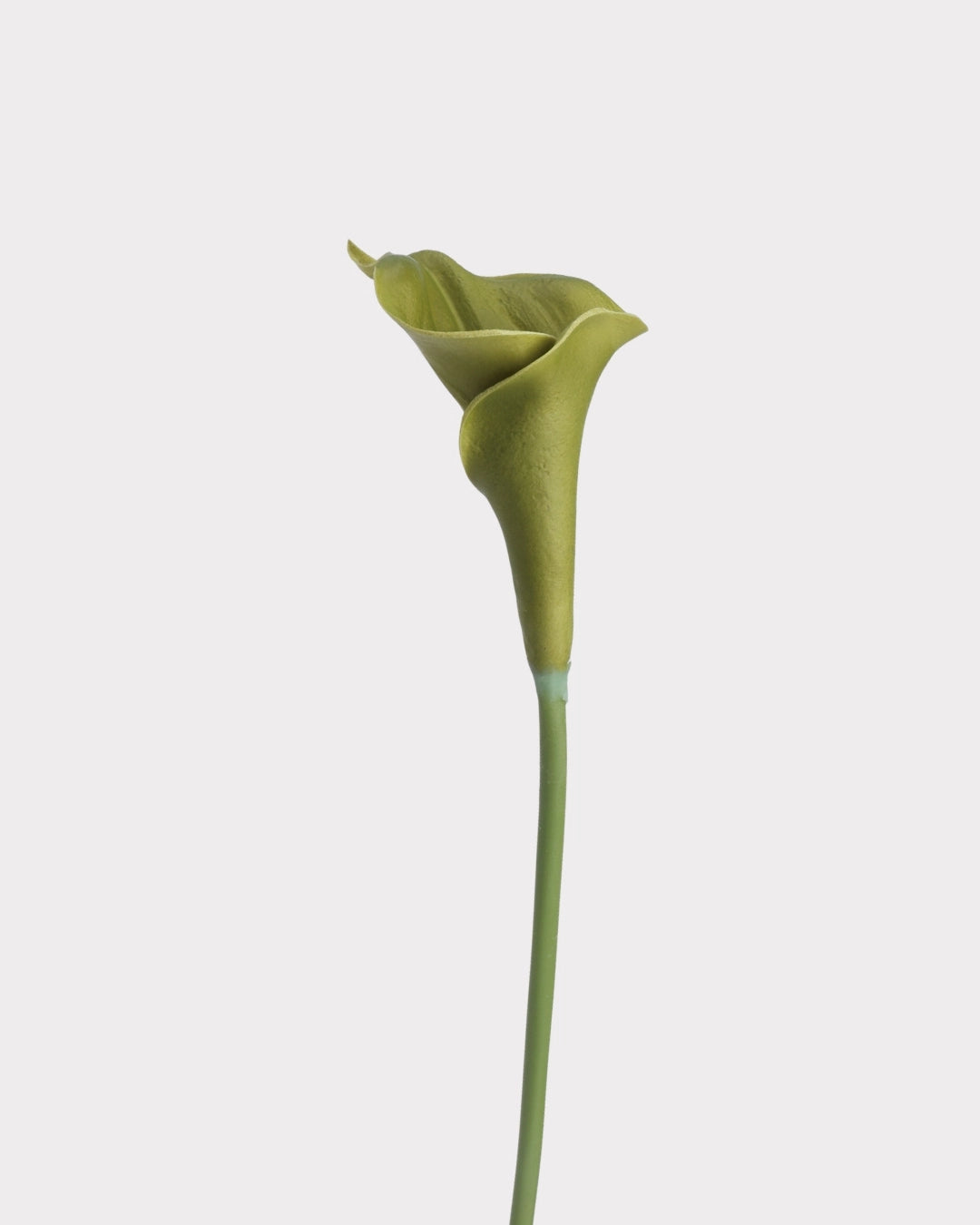 Curled Calla Lily Faux Flower in Green - 21"