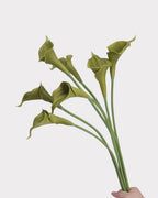 Curled Calla Lily Faux Flower in Green - 21"