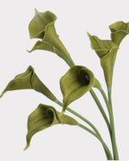 Curled Calla Lily Faux Flower in Green - 21"