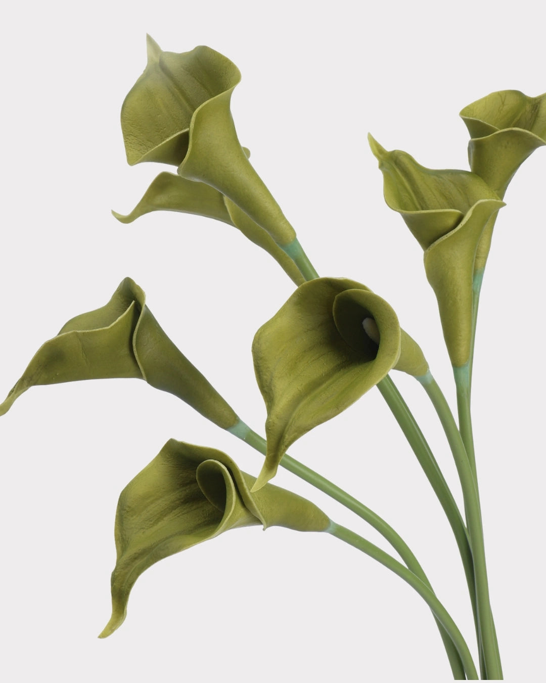 Curled Calla Lily Faux Flower in Green - 21"