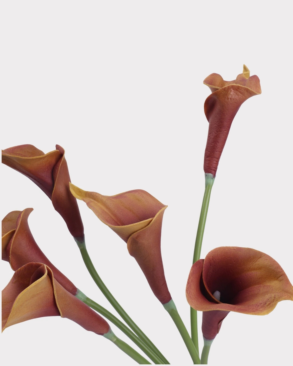 Curled Calla Lily Faux Flower in Light Caramel - 21"