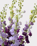 Delphinium Faux Flower - 42"