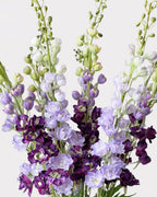 Delphinium Faux Flower - 42"
