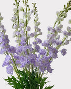 Delphinium Faux Flower - 42"