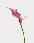 Double Calla Lily Faux Flower in Pink - 24"