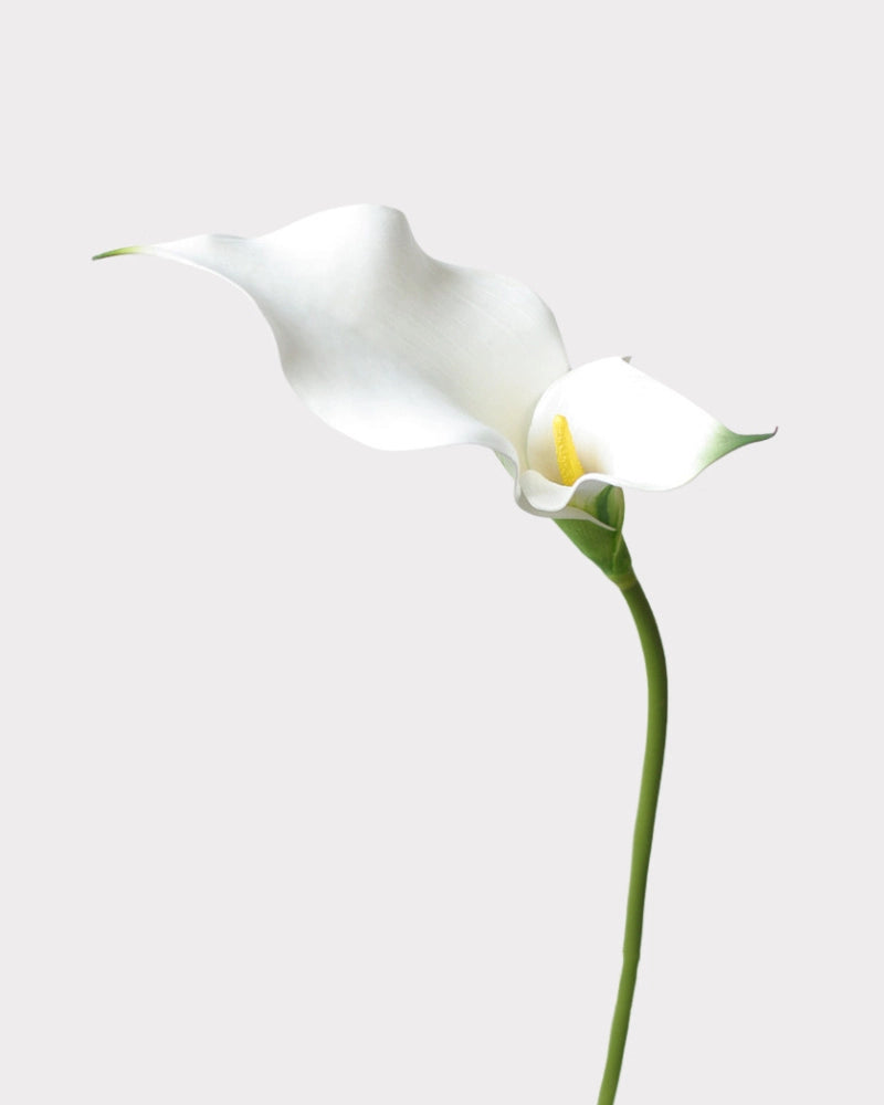 Double Calla Lily Faux Flower in White - 24"