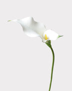 Double Calla Lily Faux Flower in White - 24"