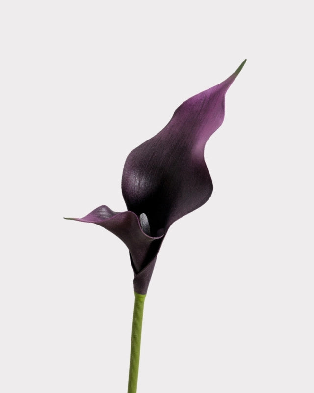 Double Petal Calla Lily Faux Flower - 24"