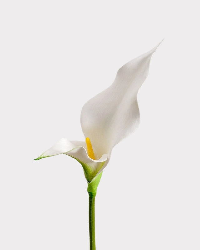 Double Petal Calla Lily Faux Flower - 24"
