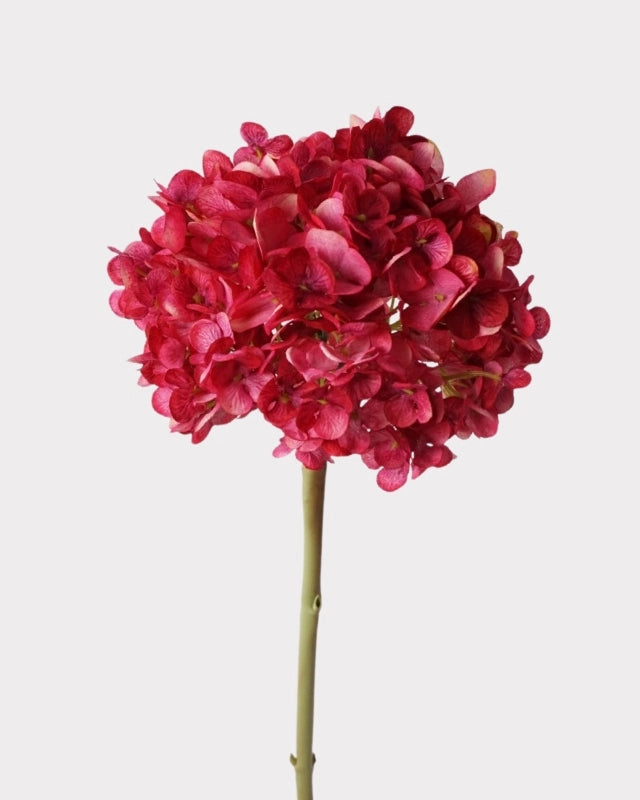 Dutch Hydrangea Faux Flower - 25"