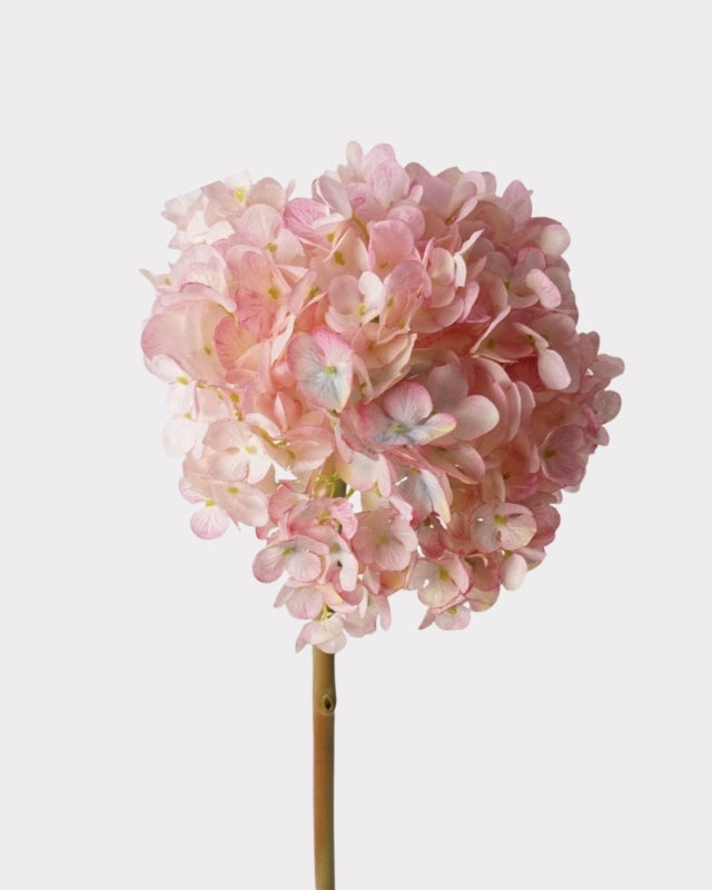 Dutch Hydrangea Faux Flower - 25"