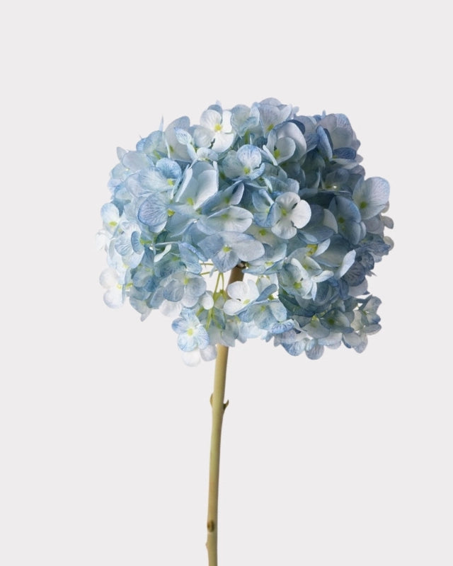 Dutch Hydrangea Faux Flower - 25"