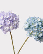 Dutch Hydrangea Faux Flower - 25"