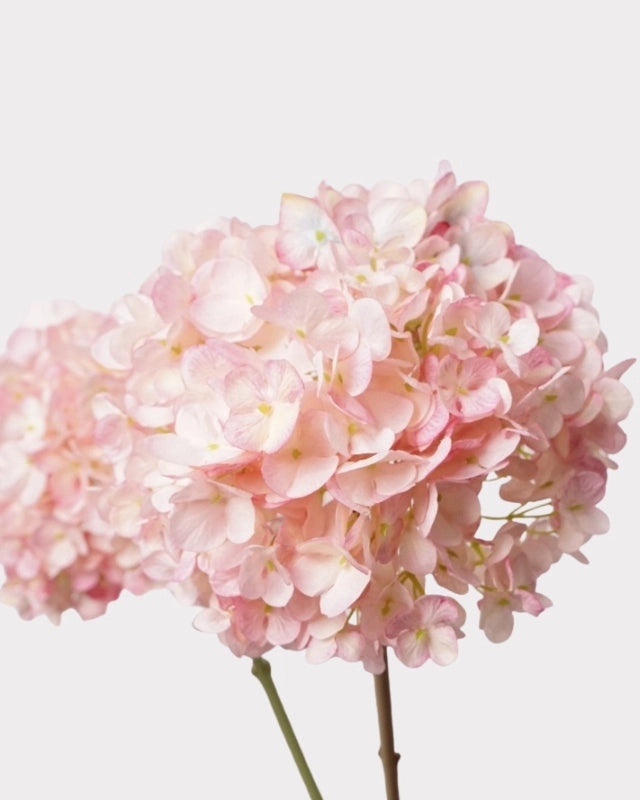 Dutch Hydrangea Faux Flower - 25"