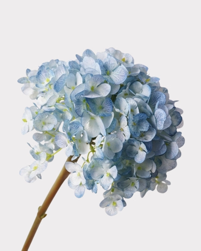 Dutch Hydrangea Faux Flower - 25"