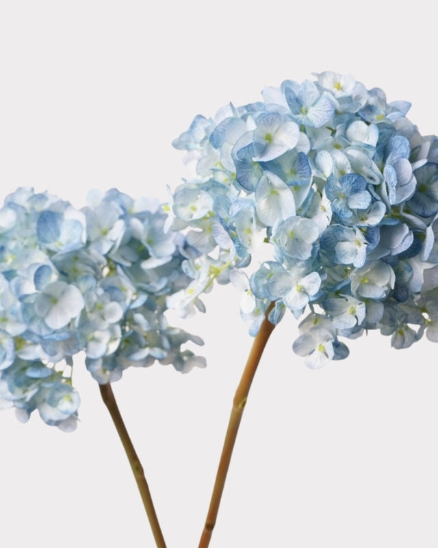 Dutch Hydrangea Faux Flower - 25"