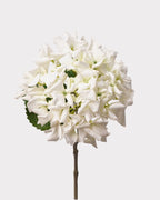 Dutch Style Faux Hydrangea Flower Stem – 24.8"