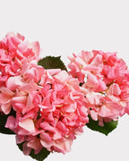 Dutch Style Faux Hydrangea Flower Stem – 24.8"