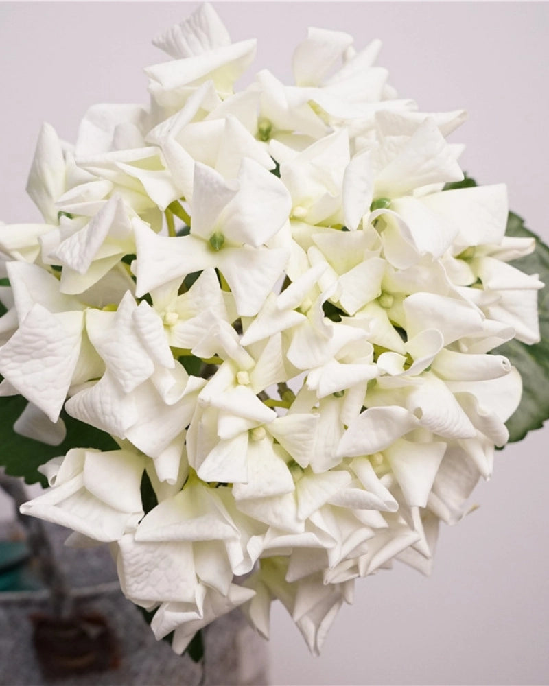 Dutch Style Faux Hydrangea Flower Stem – 24.8"