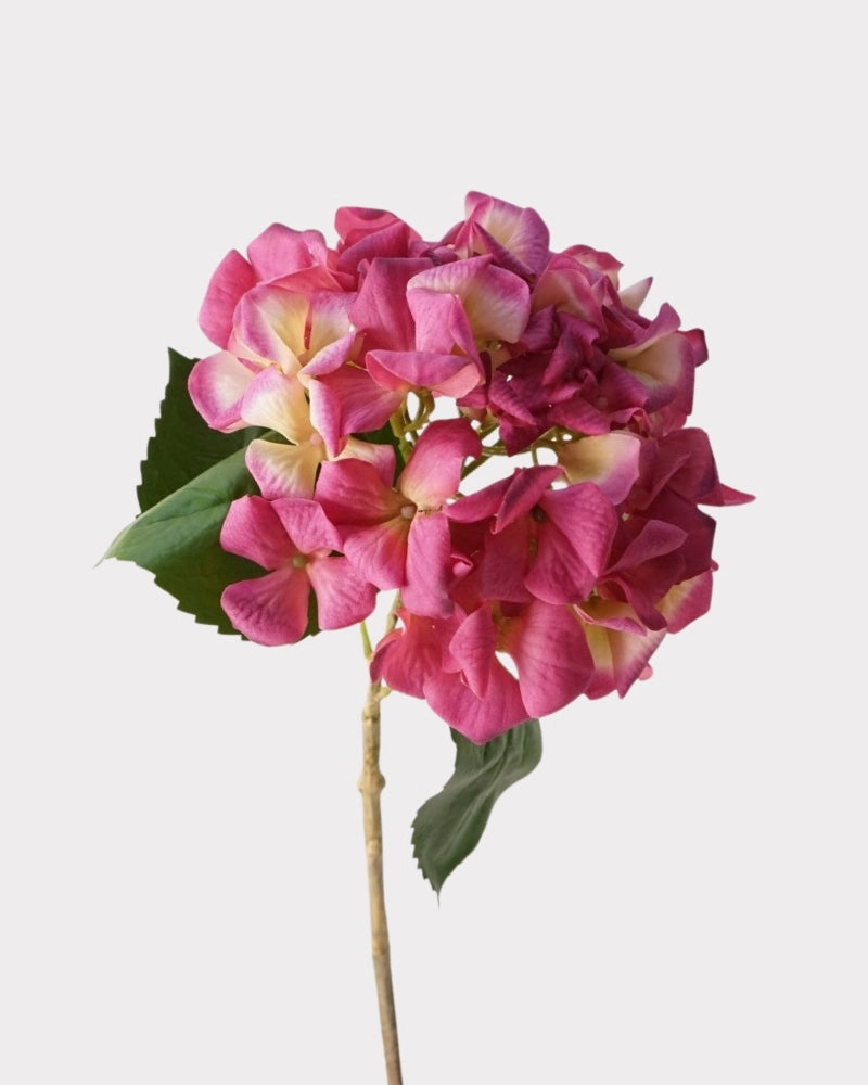 Dutch Style Faux Hydrangea Flower Stem – 24.8"