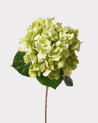 Dutch Style Faux Hydrangea Flower Stem – 24.8"