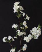 Early Spring Cherry Blossom Faux Branch - 37"