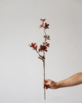 Elegant Artificial Earl Guanshan Leaf Stem 28"