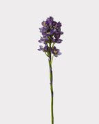 Elegant Artificial Sacred Heart Lily Stem 21"