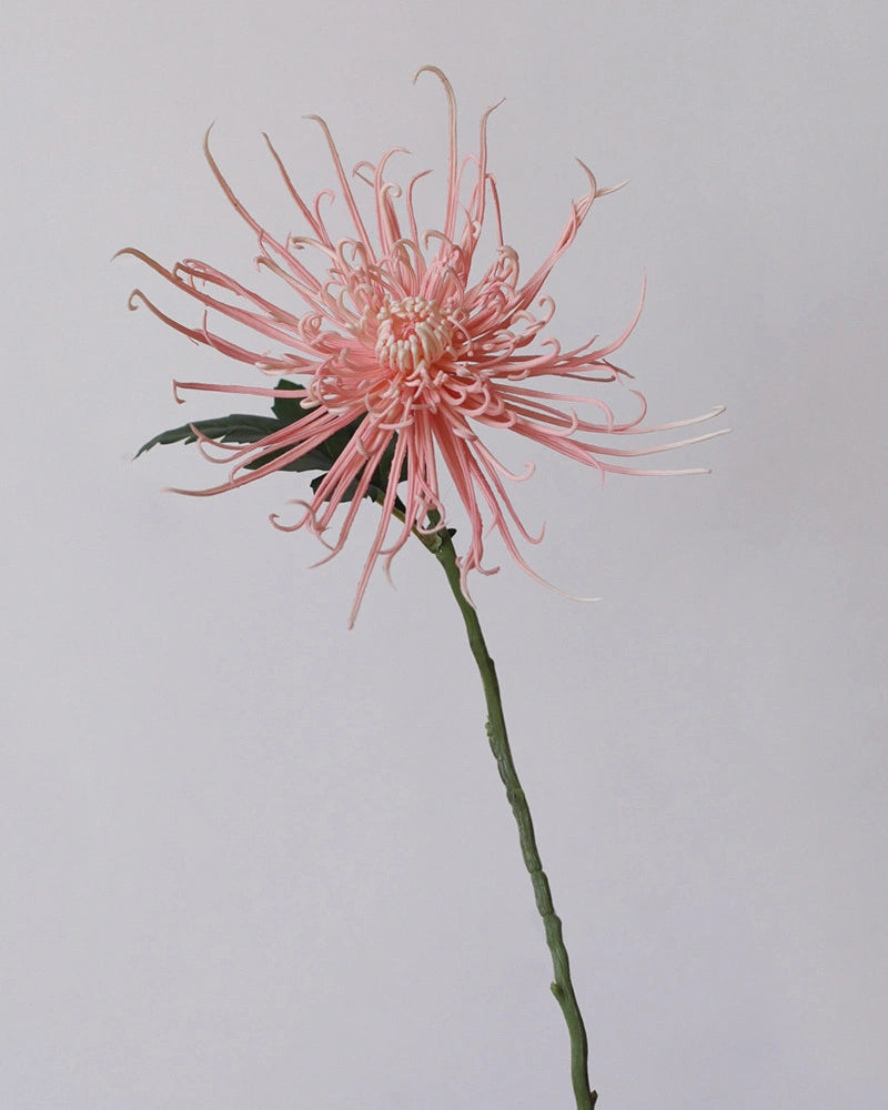 Fireburst Faux Flower - 28"