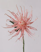 Fireburst Faux Flower - 28"