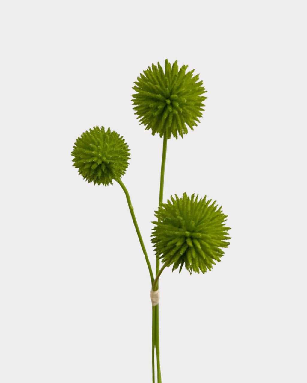 Globe Thistle Faux Flower in Green - 18"