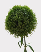Green Dianthus Faux Flower - 22"