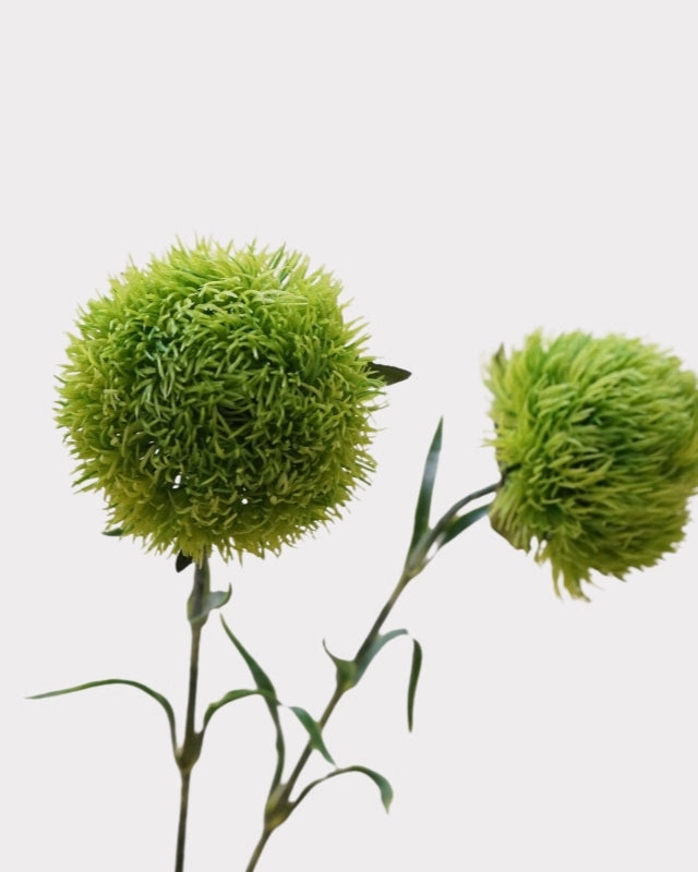 Green Dianthus Faux Flower - 22"