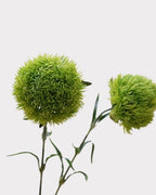 Green Dianthus Faux Flower - 22"